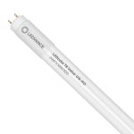 Ledvance LED Buis T8 Value (UN) High Output 24W 2550lm - 830 Warm Wit | 150cm - Vervangt 58W